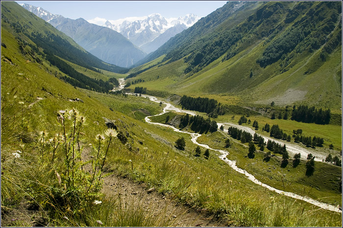 Кавказ. Слияние рек