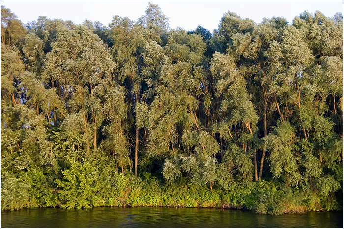 Москва-река. Природная экологическая территория «Фаустовская пойма»