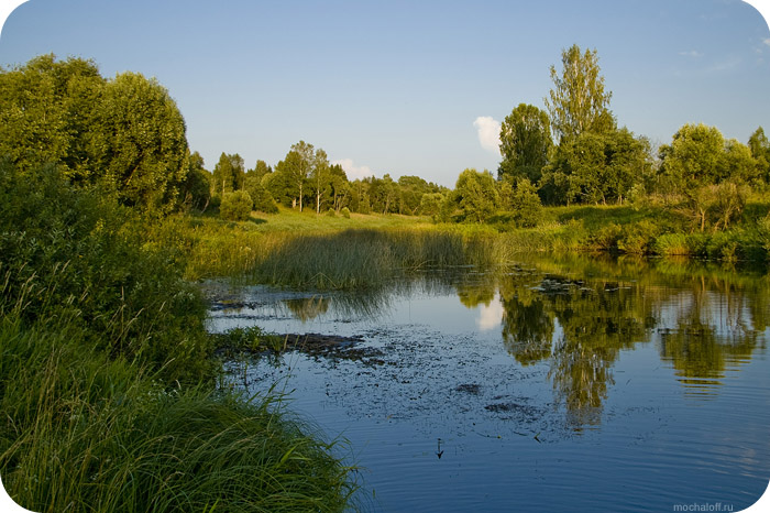 Лето в Тверской области